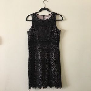 Loft A-line Professional Lace Cocktail Black Dress